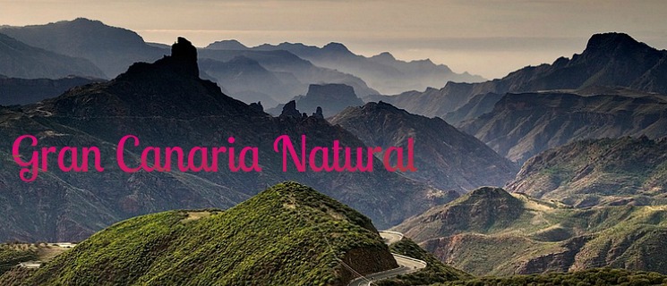 Gran Canaria Natural